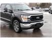 2021 Ford F-150 (Stk: DU8251T) in Ottawa - Image 5 of 20 2021 Ford F-150 (Stk: DU8251T) in Ottawa - Image 5 of 20