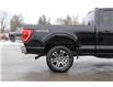 2021 Ford F-150 (Stk: DU8251T) in Ottawa - Image 7 of 20 2021 Ford F-150 (Stk: DU8251T) in Ottawa - Image 7 of 20