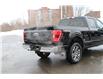 2021 Ford F-150 (Stk: DU8251T) in Ottawa - Image 8 of 20 2021 Ford F-150 (Stk: DU8251T) in Ottawa - Image 8 of 20