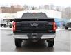 2021 Ford F-150 (Stk: DU8251T) in Ottawa - Image 9 of 20 2021 Ford F-150 (Stk: DU8251T) in Ottawa - Image 9 of 20