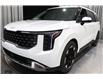 2026 Kia Carnival EX+ (Stk: 26916) in Edmonton - Image 6 of 27