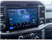 2026 Ford F-150 Tremor (Stk: 2026-41) in New Liskeard - Image 16 of 16