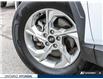 2024 Hyundai Tucson Trend (Stk: 7-U1078) in Whitby - Image 26 of 27