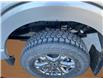 2023 Ford F-150 XLT (Stk: 25351A) in Melfort - Image 10 of 17
