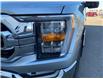 2023 Ford F-150 XLT (Stk: 25351A) in Melfort - Image 16 of 17