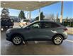 2026 Ford Escape Active (Stk: 26012) in Port Alberni - Image 7 of 26