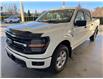 2026 Ford F-150 XLT (Stk: 26014) in Port Alberni - Image 8 of 19