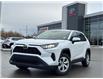 2023 Toyota RAV4 LE (Stk: C372687K) in Cranbrook - Image 1 of 20