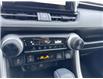 2023 Toyota RAV4 LE (Stk: C372687K) in Cranbrook - Image 17 of 20
