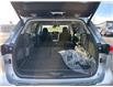 2020 Toyota Highlander Hybrid XLE (Stk: S693188A) in Cranbrook - Image 18 of 21