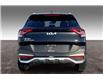 2025 Kia Sportage LX (Stk: 25A4668) in Sherwood Park - Image 4 of 30