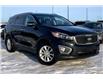 2017 Kia Sorento 3.3L LX V6 7-Seater (Stk: TSP53042) in Sherwood Park - Image 25 of 25