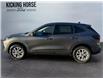 2026 Ford Escape Active (Stk: 15298) in Golden - Image 8 of 17