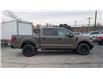 2025 Ford F-150 STX (Stk: F1384) in Miramichi - Image 6 of 13