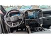 2025 Ford F-150 STX (Stk: F1384) in Miramichi - Image 12 of 13