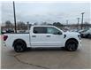 2025 Ford F-150 STX (Stk: F1394) in Miramichi - Image 6 of 13