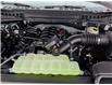 2025 Ford F-150 STX (Stk: F1394) in Miramichi - Image 13 of 13