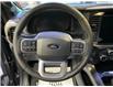 2025 Ford F-150 Lariat (Stk: 25364) in Melfort - Image 17 of 24