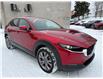 2024 Mazda CX-30 GS (Stk: 16062) in Newmarket - Image 20 of 50