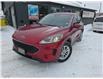 2020 Ford Escape SE (Stk: ZESCAPE) in Sudbury - Image 1 of 18
