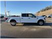 2025 Ford F-150 XLT (Stk: 5T149) in Williams Lake - Image 5 of 12