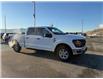 2025 Ford F-150 XLT (Stk: 5T149) in Williams Lake - Image 6 of 12