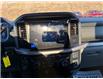 2025 Ford F-150 XLT (Stk: 5T149) in Williams Lake - Image 11 of 12