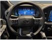 2025 Ford F-150 XLT (Stk: S9912) in ROSETOWN - Image 14 of 17