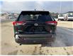 2023 Toyota RAV4 LE (Stk: C371718K) in Cranbrook - Image 4 of 20