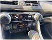 2023 Toyota RAV4 LE (Stk: C371718K) in Cranbrook - Image 17 of 20