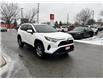 2025 Toyota RAV4 Hybrid XLE (Stk: 260231A) in Ottawa - Image 3 of 26