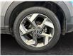 2023 Hyundai Venue Ultimate w/Black Interior (IVT) (Stk: 40490) in Lethbridge - Image 14 of 15