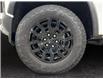 2025 Chevrolet Colorado Trail Boss (Stk: 40562) in Lethbridge - Image 14 of 15