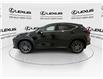 2023 Lexus NX 350h  (Stk: 14U7178) in Markham - Image 6 of 28