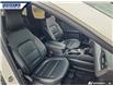 2025 Ford Escape Platinum (Stk: P3626) in Dartmouth - Image 20 of 24