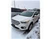 2018 Ford Escape SEL (Stk: 5F242AZ) in Oakville - Image 2 of 11