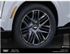 2026 Cadillac Escalade IQL Sport (Stk: 105254) in Bolton - Image 9 of 24