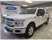 2019 Ford F-150 XLT (Stk: BD39836) in Shellbrook - Image 1 of 22