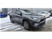 2021 Toyota RAV4 LE (Stk: PM4495AM) in Ottawa - Image 11 of 24