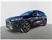 2022 Ford Escape SE (Stk: 254316C) in Fredericton - Image 1 of 19