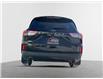 2022 Ford Escape SE (Stk: 254316C) in Fredericton - Image 3 of 19