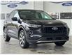 2024 Ford Escape Platinum (Stk: P00467) in Port Alberni - Image 1 of 19