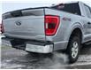 2023 Ford F-150 XLT (Stk: JUD007) in Brandon - Image 6 of 21