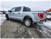 2023 Ford F-150 XLT (Stk: JUD007) in Brandon - Image 8 of 21