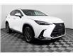 2023 Lexus NX 250 Base (Stk: X3600L) in London - Image 3 of 30