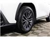 2023 Lexus NX 250 Base (Stk: X3600L) in London - Image 11 of 30
