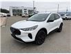 2024 Ford Escape Active (Stk: 4S064) in Williams Lake - Image 1 of 13