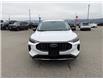2024 Ford Escape Active (Stk: 4S064) in Williams Lake - Image 8 of 13