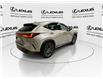 2024 Lexus NX 350  (Stk: 14111711A) in Markham - Image 9 of 28