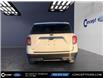 2024 Ford Explorer XLT (Stk: 03303) in GEORGETOWN - Image 17 of 19